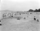 모래사장 펼쳐진 60년대 뚝섬 유원지