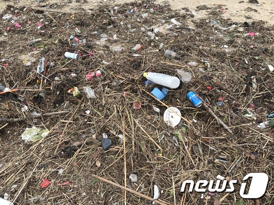 해변에 밀려온 플라스틱 쓰레기