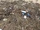 해변에 밀려온 플라스틱 쓰레기