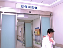 Section_top