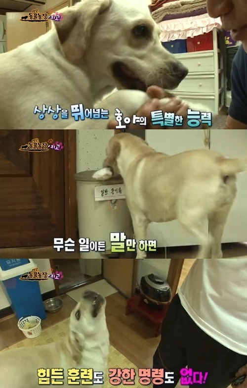 호야스튜디오 이미지