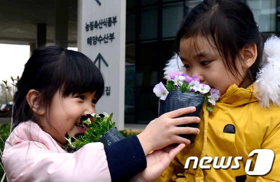 행복나라어린이집 이미지