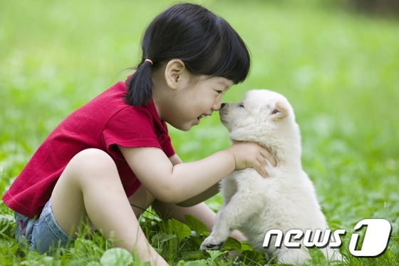 반려동물이 건강에 도움을 주는 이유 3가지 | 인스티즈
