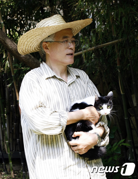 펫토피아 이미지