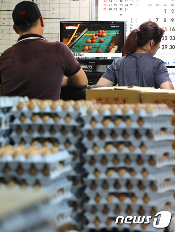 살충제 계란 논란 \'속터지네...\'