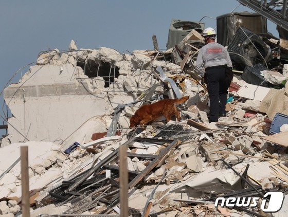 [사진] 붕괴된 마이애미 콘도 건물의 처참한 잔해