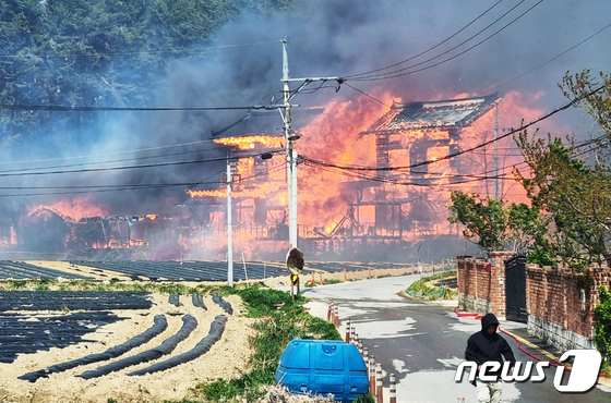 강릉 산불, 화염에 휩싸인 주택 