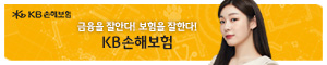 배너이미지 kb손해보험