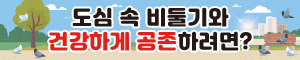배너이미지 서울시청 자연생태과(비둘기 먹이주기방지)