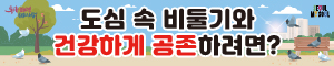배너이미지 서울시청 자연생태과(비둘기 먹이주기방지)