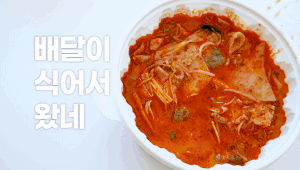 배너이미지 제주특별자치도청-영상추가