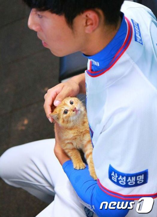 삼성 라이온즈 최충연이 '냥줍'한 고양이는 어떻게 됐을까