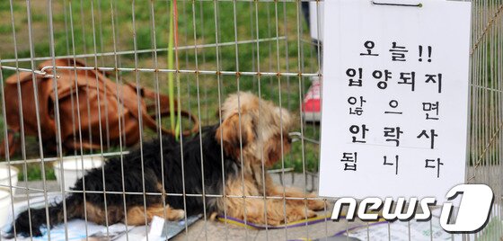 본문 이미지 - © News1 이명근 기자