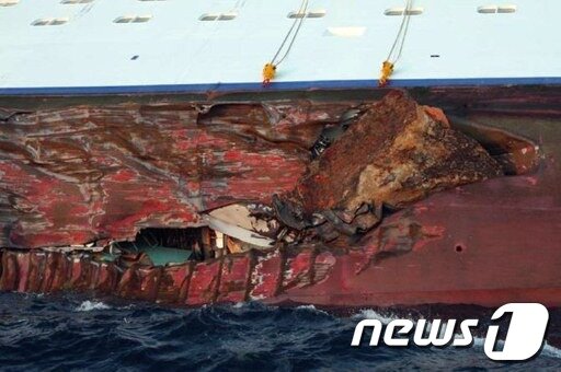 본문 이미지 - 이탈리아 질리오 섬에 도착한 유람선 승객들 © AFP=News1 