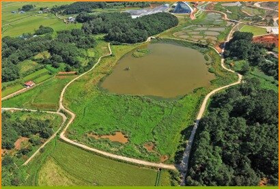 본문 이미지 - 국립생태원 내 조성된 자연습지. © 국립생태원 제공