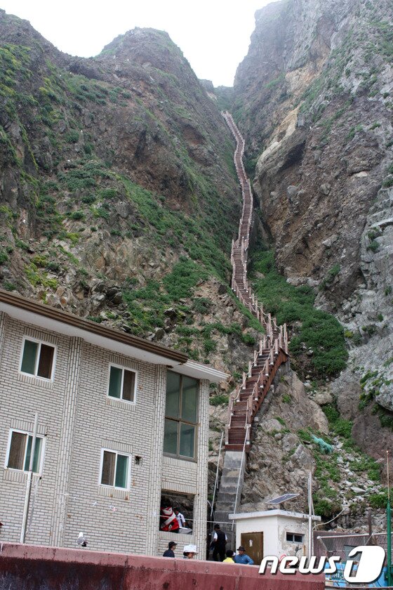 본문 이미지 - 주민숙소에서 물골로 가는 계단/사진제공=울릉군© News1 