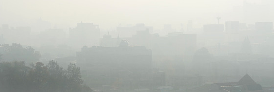 [오늘의 날씨] 충북·세종(7일, 일)…추위 한풀 꺾여·새벽 안개도