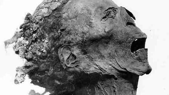 본문 이미지 - 람세스3세의 아들로 추정되는 '절규하는 미이라'. © News1 