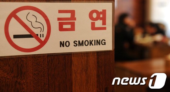 본문 이미지 - © News1 박세연 기자