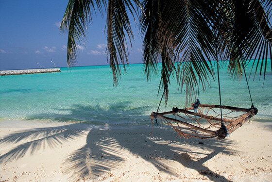 본문 이미지 - 사진=이미지비트 ⓒ News1