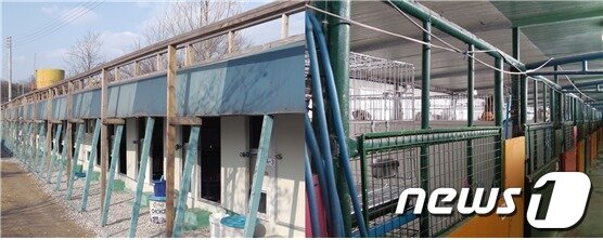 본문 이미지 - 한국동물구조관리협회의 모습. 왼쪽부터 차례로 소형견 보호시설과 중형견 보호시설. © News1 
