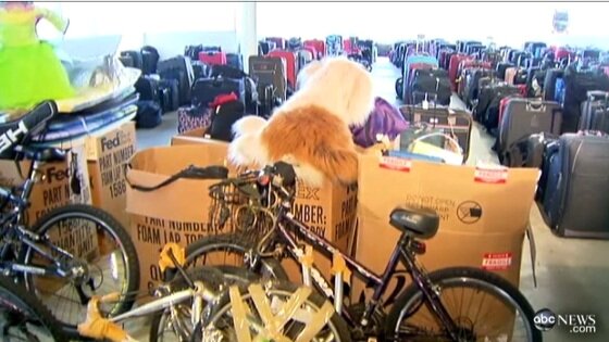 본문 이미지 - (ABC) © News1