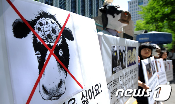 (서울=뉴스1) 박지혜 기자 = 2일 오후 서울 세종로 정부중앙청사 후문에서 열린 '광우병 미국산 쇠고기 수입 중단 및 채식권장' 기자회견에서 참가자들이 육식 반대 손팻말을 들고 …