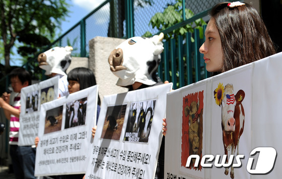 (서울=뉴스1) 박지혜 기자 = 2일 오후 서울 세종로 정부중앙청사 후문에서 열린 '광우병 미국산 쇠고기 수입 중단 및 채식권장' 기자회견에서 참가자들이 육식 반대 손팻말을 들고 …