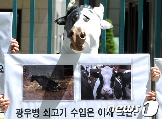 (서울=뉴스1) 박지혜 기자 = 2일 오후 서울 세종로 정부중앙청사 후문에서 열린 '광우병 미국산 쇠고기 수입 중단 및 채식권장' 기자회견에서 참가자들이 육식 반대 손팻말을 들고 …