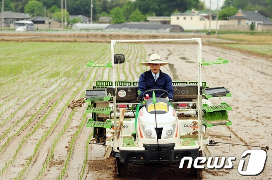 (김제=뉴스1) 오대일 기자 = 이명박 대통령이 24일 오전 전북 김제시 장화동에서 농업인들과 함께 모내기를 하고 있다. 이날 이 대통령은 지역 농업인 40여명과 함께 오찬을 겸한 …