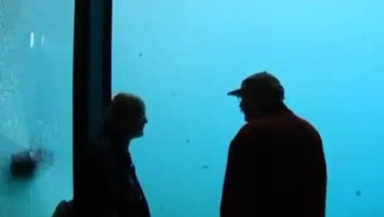 본문 이미지 - 북극곰이 떨어뜨린 돌이 유리판과 부딪히는 순간.&#40;유튜브&#41;© News1 