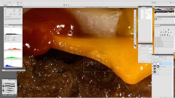 본문 이미지 - 포토샵 작업 중 (Youtube). © News1 