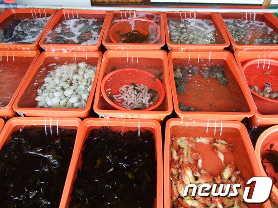 본문 이미지 - 울산진하해수욕장이 7월1일 개장해 8월말까지 운영된다. 진하해수욕장 인근에 파는 해산물은 빼 놓을 수 없는 먹거리. © News1   김규신 기자