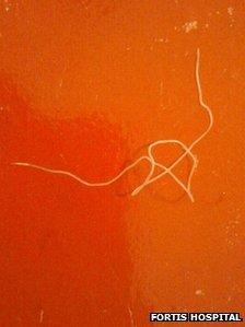 본문 이미지 - 