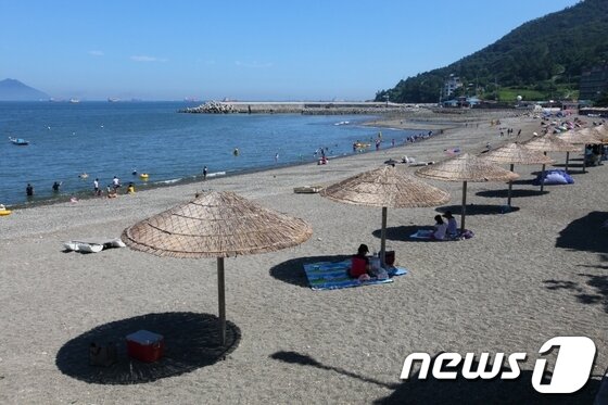 본문 이미지 - © News1 