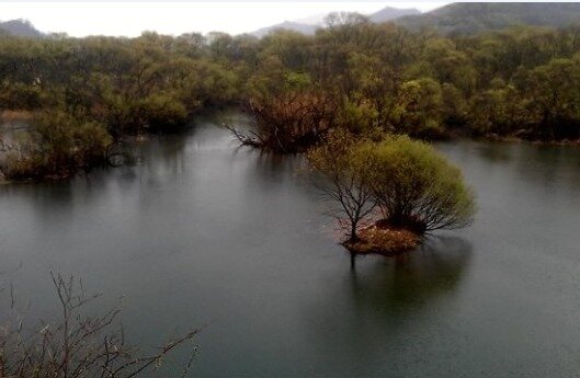 본문 이미지 - 용양보 습지ⓒ News1