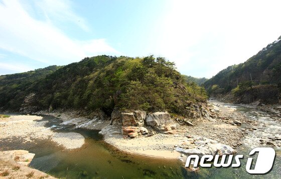 본문 이미지 - 사진제공=울진군© News1 