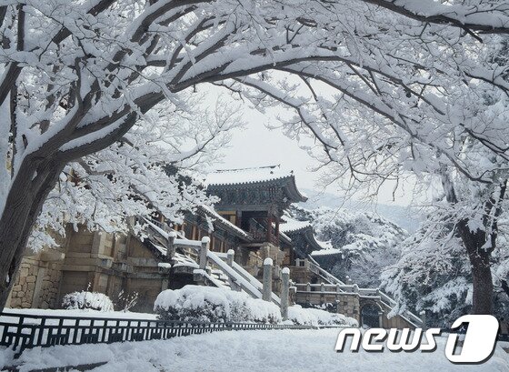 본문 이미지 - 불국사./사진제공=경주시© News1 