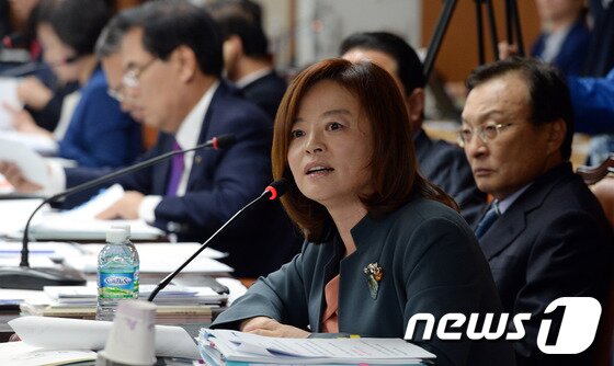 본문 이미지 - 국정감사 이틀째인 15일 오전 서울 미근동 경찰청에서 열린 국회 안전행정위의 경찰청 국감에서 진선미 민주당 의원이 질의하고 있다. 2013.10.15/뉴스1 © News1 양동욱 기자