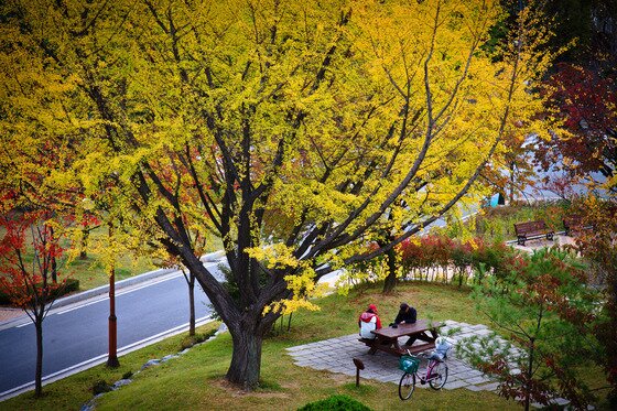 본문 이미지 - 서울 동작구 보라매공원. © News1  