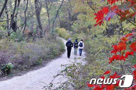 본문 이미지 - 북한산국립공원 우이령길. © News1