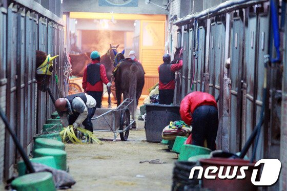 본문 이미지 - 마필관리사들의 일하는 모습. (마필관리사 노동조합 제공) © News1 