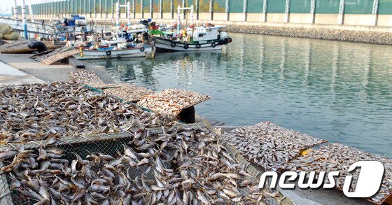 본문 이미지 - 화수부두 전경. © News1 