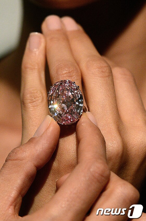 본문 이미지 - 소더비가 오는 13일(현지시간) 경매할 예정인 분홍색 다이아몬드 '핑크 스타'. 핑크 스타의 무게는 분홍색 다이아몬드 중 최고인 59.60캐럿이다.© AFP=News1 