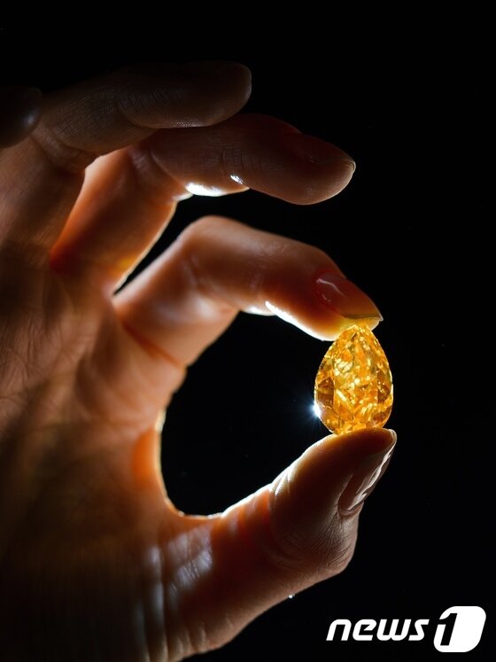 본문 이미지 - © AFP=News1 