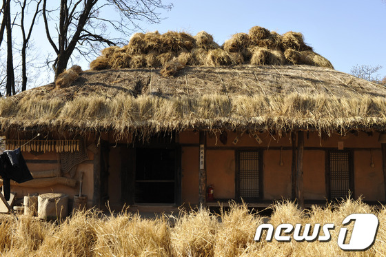 (서울=뉴스1)  = 16일 오후 경기도 용인시 한국민속촌 초가집에서 새 지붕을 얹는 이엉 작업을 하고 있다. (한국민속촌 제공)2013.11.16/뉴스1