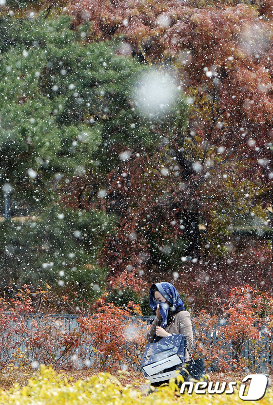 (서울=뉴스1) 양동욱 기자 = 서울 도심에 첫 눈이 내린 18일 오후 서울 서대문구 이화여대 교정에서 학생이 몸을 움츠린 채 발걸음을 재촉하고 있다. 2013.11.18/뉴스1