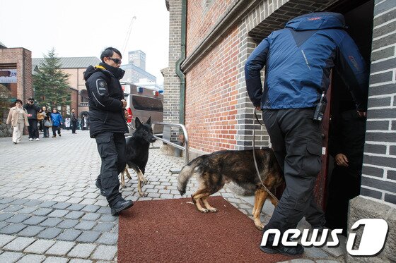 본문 이미지 - 24일 오전 서울 중구 명동성당에 폭발물을 설치했다는 협박 전화가 접수돼 경찰이 폭발물탐지견을 데리고 성당을 수색하고 있다. 2013.11.24/뉴스1 © News1 유승관 기자