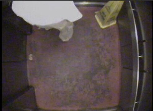 본문 이미지 - 바나나 있다 © News1 