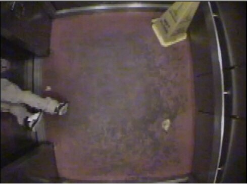 본문 이미지 - 앞으로 넘어져 엉덩이를 다친 오웬스© News1 